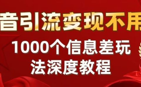 抖音引流变现不用愁:1000个信息差玩法深度教程