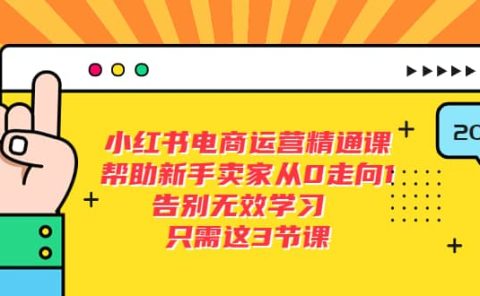 小红书电商·运营精通课,帮助新手卖家从0走向1 告别无效学习(7节视频课)