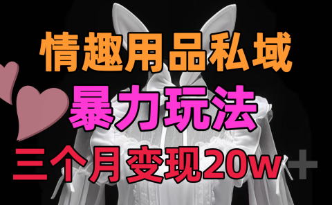 情趣用品私域，25年最新暴力玩法，三个月变现20w➕