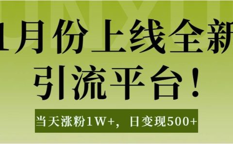 1月上线全新引流平台，当天涨粉1W+，日变现500+工具无脑涨粉，解放双手操作简单