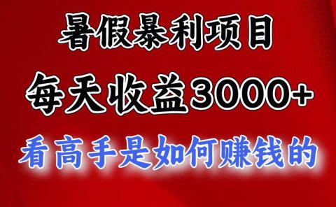 暑假暴利项目,每天收益3000+ 努努力能达到5000+,暑假大流量来了