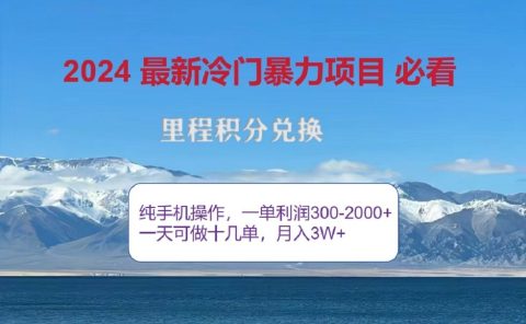 2024惊爆冷门暴利！出行高峰来袭，里程积分，高爆发期，一单300+—2000+，月入过万不是梦！