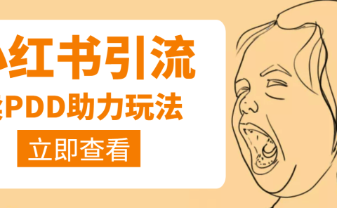 利用小红书卖拼多多助力