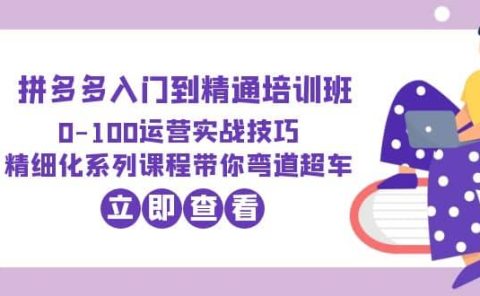 2023拼多多入门到精通培训班:0-100运营实战技巧 精细化系列课带你弯道超车