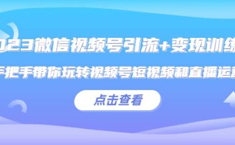 2023微信视频号引流+变现训练营：手把手带你玩转视频号短视频和直播运营