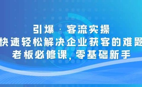 引爆·客流实操：快速轻松解决企业获客的难题，老板必修课，零基础新手