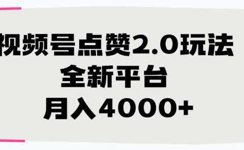 视频号点赞2.0玩法，月入4000+，全新平台