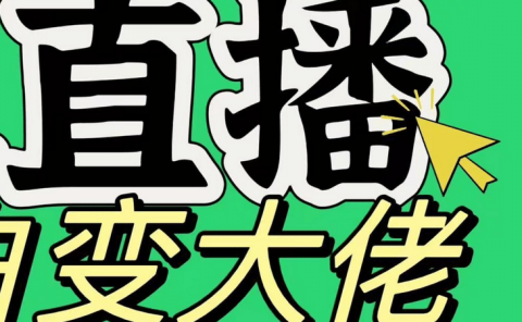 淘宝无人直播，蓝海项目，躺赚，纯挂机！日变现1000+