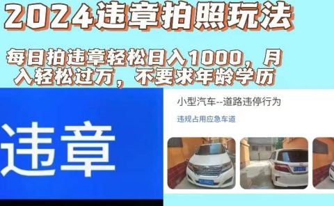 2024违章拍照新玩法,推广躺赚+拍照赚钱双模式,日入1000+