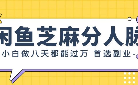 闲鱼芝麻分人脉，小白做八天，都能过万！首选副业！
