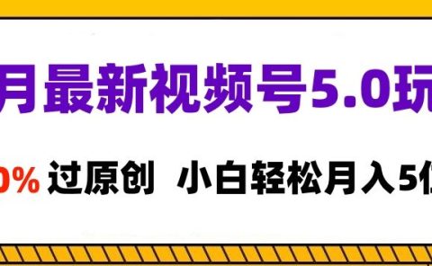 11月最新视频号5.0玩法，100%过原创，小白轻松月入5位数