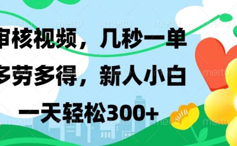 审核视频，几秒一单，多劳多得，新人小白一天轻松300+