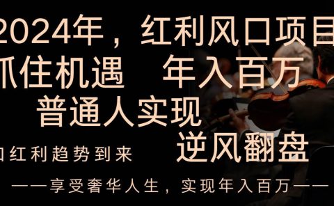 2024红利风口项目来袭，享受第一波红利，逆风翻盘普通人也能实现，年入百万