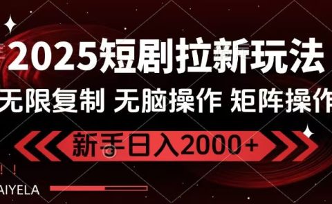 2025短剧拉新玩法，无需注册登录，无限0撸，无脑批量操作日入2000+
