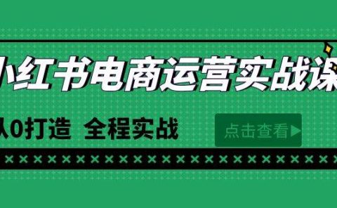 最新小红书·电商运营实战课，从0打造  全程实战（65节视频课）