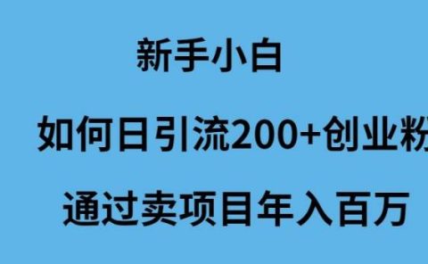 新手小白如何日引流200+创业粉通过卖项目年入百万