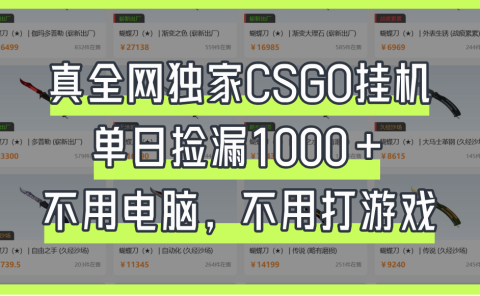真全网独家CSGO挂机，单日捡漏1000+