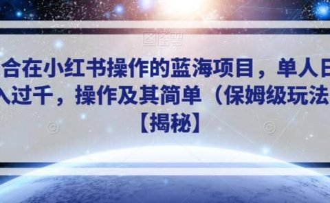 适合在小红书操作的蓝海项目，单人日收入过千，操作及其简单（保姆级玩法）【揭秘】