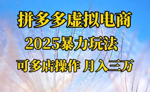拼多多虚拟电商,不囤货不垫资的虚拟电商