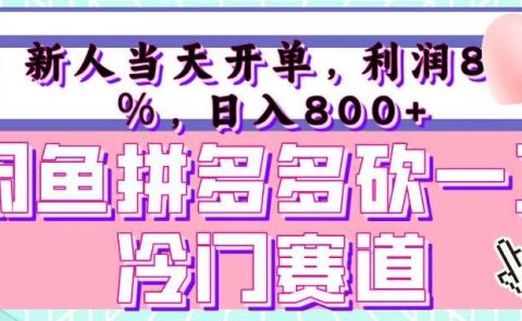 咸鱼拼夕夕砍一刀冷门暴力赛道，新人当天开单，利润百分之八十，日入 800+
