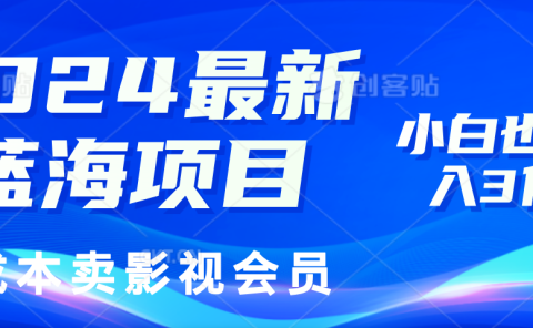 0成本卖影视会员,2024最新蓝海项目,小白也能日入3位数
