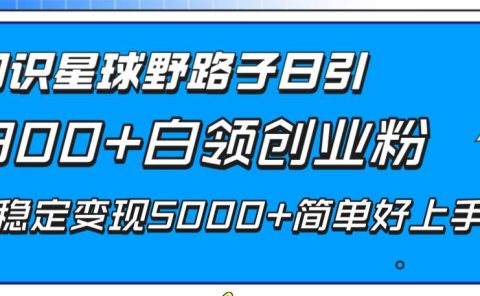 知识星球野路子日引300+白领创业粉，日稳定变现5000+简单好上手！