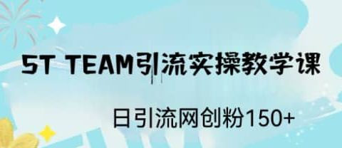 ST TEAM引流实操课，日引流网创粉100+