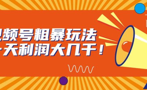 视频号粗暴玩法，一天利润大几千