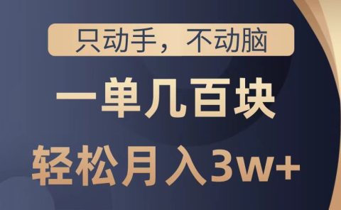 只动手不动脑,一单几百块,轻松月入2w+,看完就能直接操作,详细教程