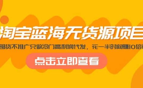 淘宝蓝海无货源项目,不囤货不推广只做冷门高利润代发