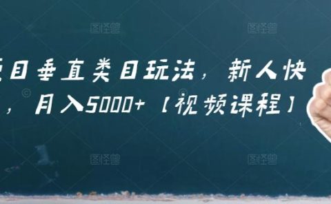 虚拟项目垂直类目玩法，新人快速起店，月入5000+【视频课程】