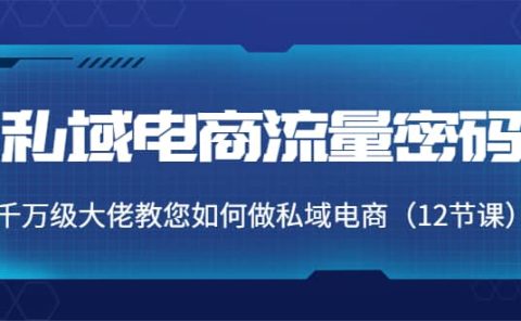 私域电商流量密码：千万级大佬教您如何做私域电商（12节课）