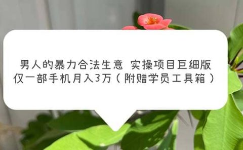 男人的暴力合法生意实操项目巨细版:仅一部手机月入3w(附赠学员工具箱)