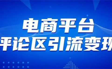 电商平台评论引流变现，无需开店铺长期精准引流，简单粗暴