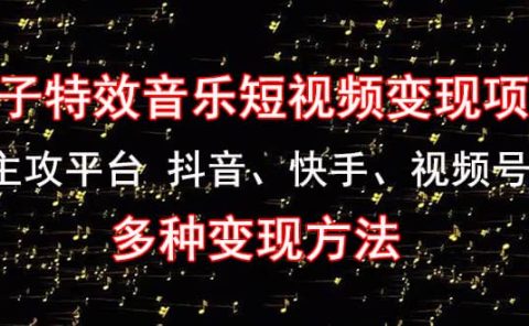 《粒子特效音乐短视频变现项目》主攻平台 抖音、快手、视频号 多种变现方法