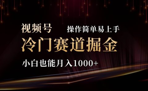 2024视频号三国冷门赛道掘金,操作简单轻松上手,小白也能月入1000+
