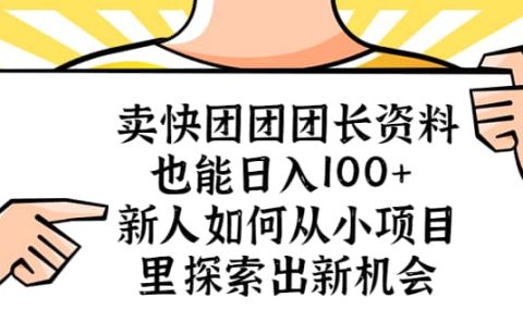 卖快团团团长资料也能日入100+ 新人如何从小项目里探索出新机会