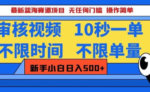 最新蓝海赛道项目，视频审核玩法，10秒一单，不限时间，不限单量，新手小白一天500+