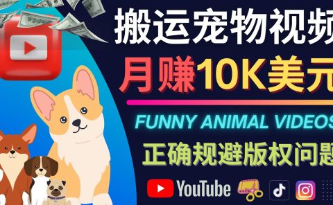 搬运TIKTOK视频到YouTube,并进行二次创作,月赚1万美元以上