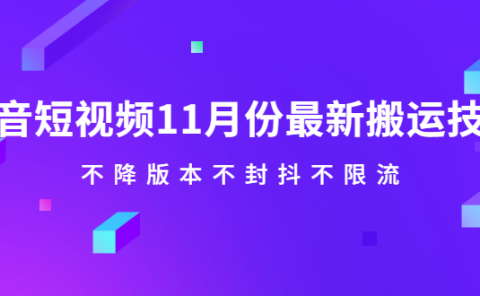 抖音短视频11月份最新搬运技术，不降版本不封抖不限流！【视频课程】