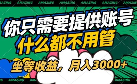 账号全程托管,你只需要提供账号,什么都不用管,坐等收益,月入3000+
