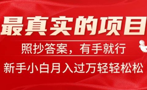 最真实的项目,照抄答案,有手就行,新手小白月入过万轻轻松松