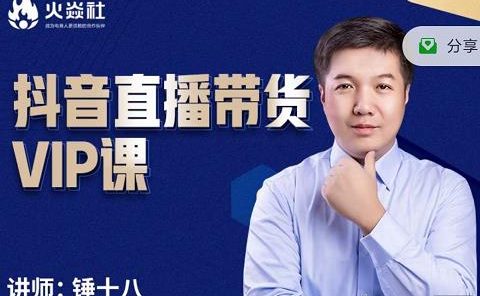 锤十八-抖音直播带货VIP课，专注直播带货有效盈利模式