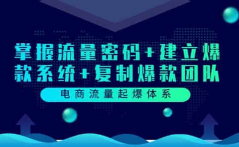 电商流量起爆体系:掌握流量密码+建立爆款系统+复制爆款团队(价值599)