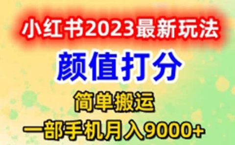 最新小红书颜值打分玩法，日入300+闭环玩法