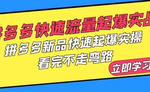 拼多多-快速流量起爆实战,拼多多新品快速起爆实操,看完不走弯路