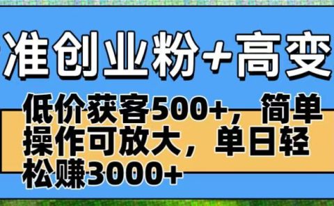精准创业粉+高变现:低价获客500+,简单操作可放大,单日轻松赚3000+