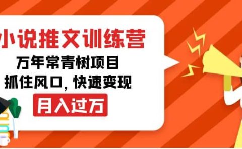 小说推文训练营,万年常青树项目,抓住风口