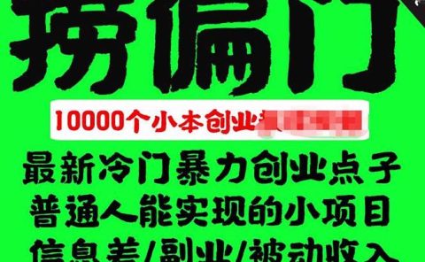 千款捞偏门小本创业小项目，总有一款适合你【无水印】