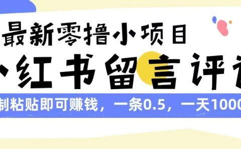 最新零撸小项目，小红书留言评论，复制粘贴即可赚钱，一条0.5，一天1000+